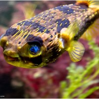 Aqua Terra Zoo Vienna